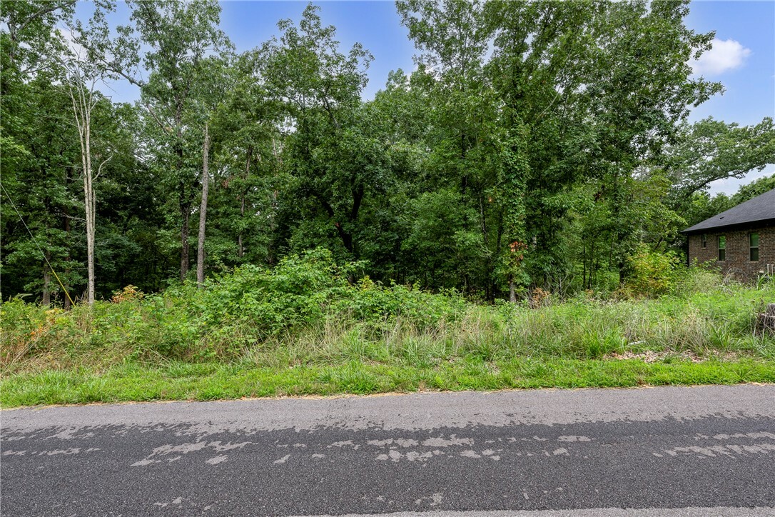 Lot 10, Block 2 Lochgilphead Lane  Bella Vista AR 72715 photo