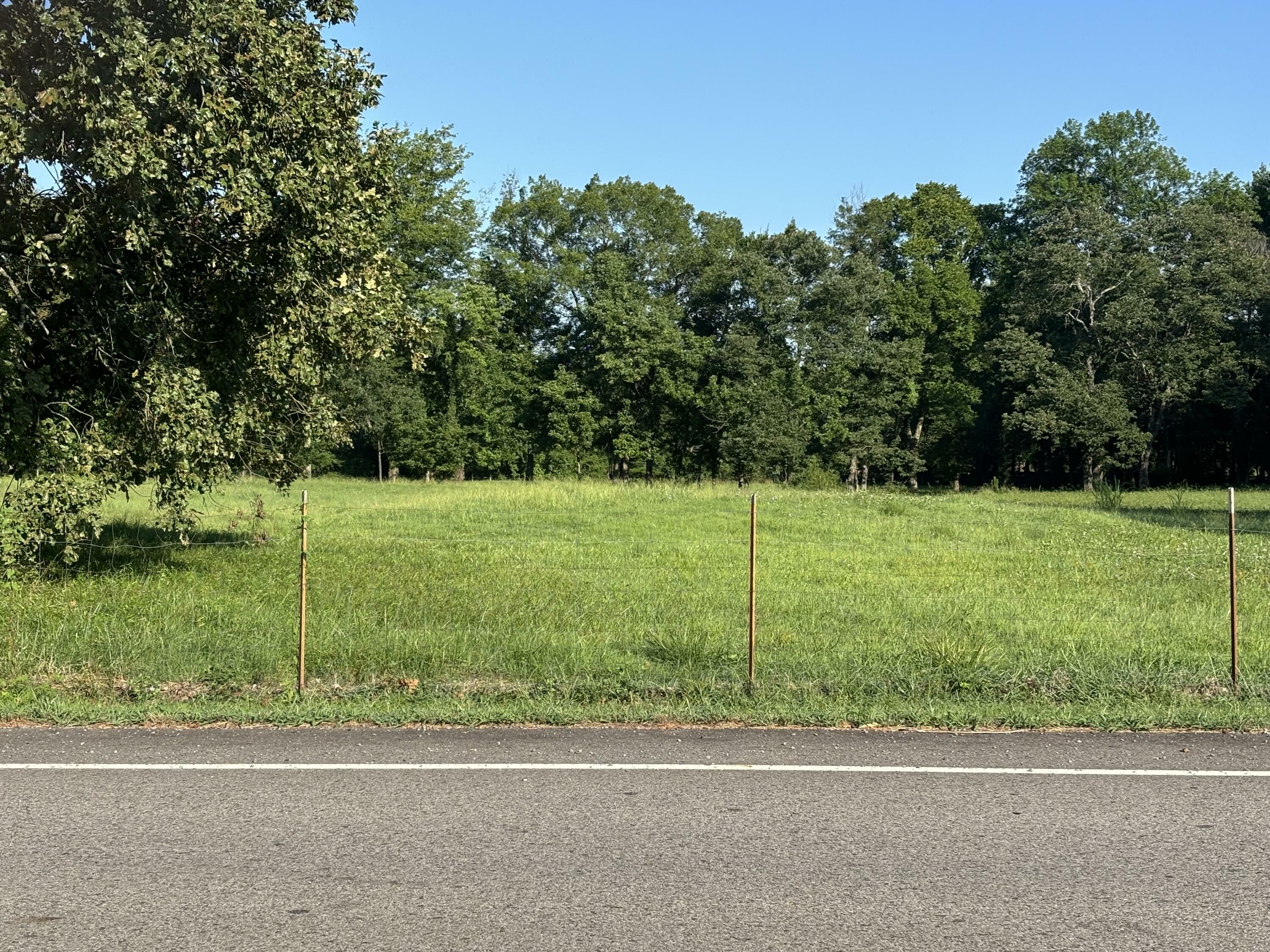 Property Photo:  000 Jimmy Lile Road  AR 72802 