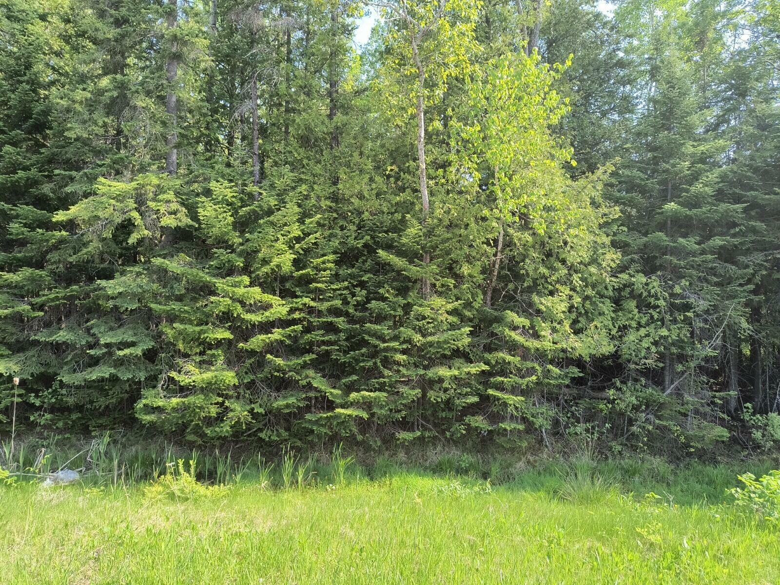 Nhn M-68 Highway 15.65 Acres  Rogers City MI 49779 photo