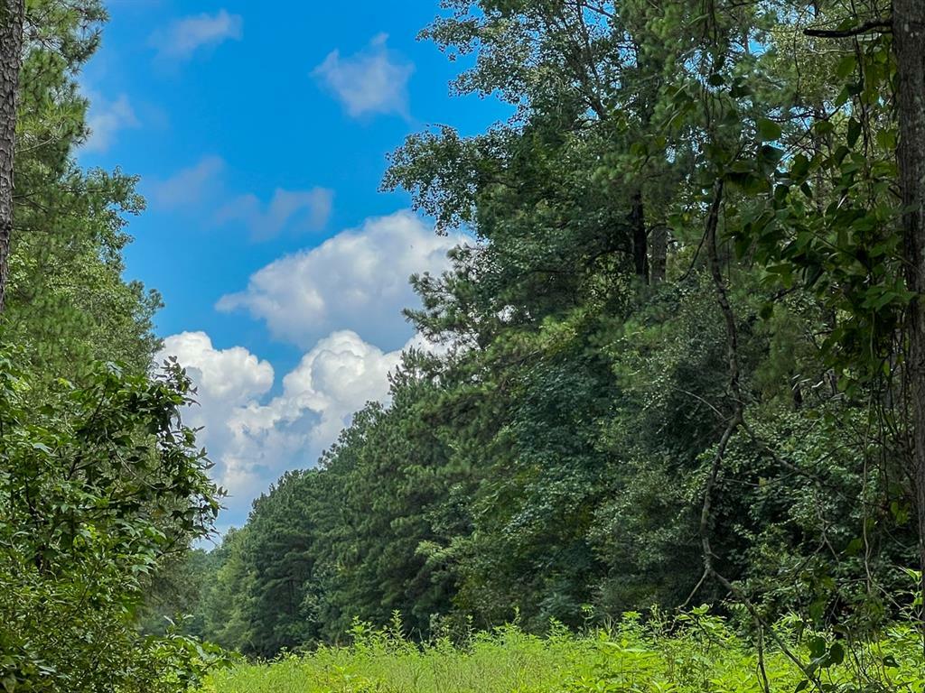 Property Photo: 0 Ellis Lane TX 77662