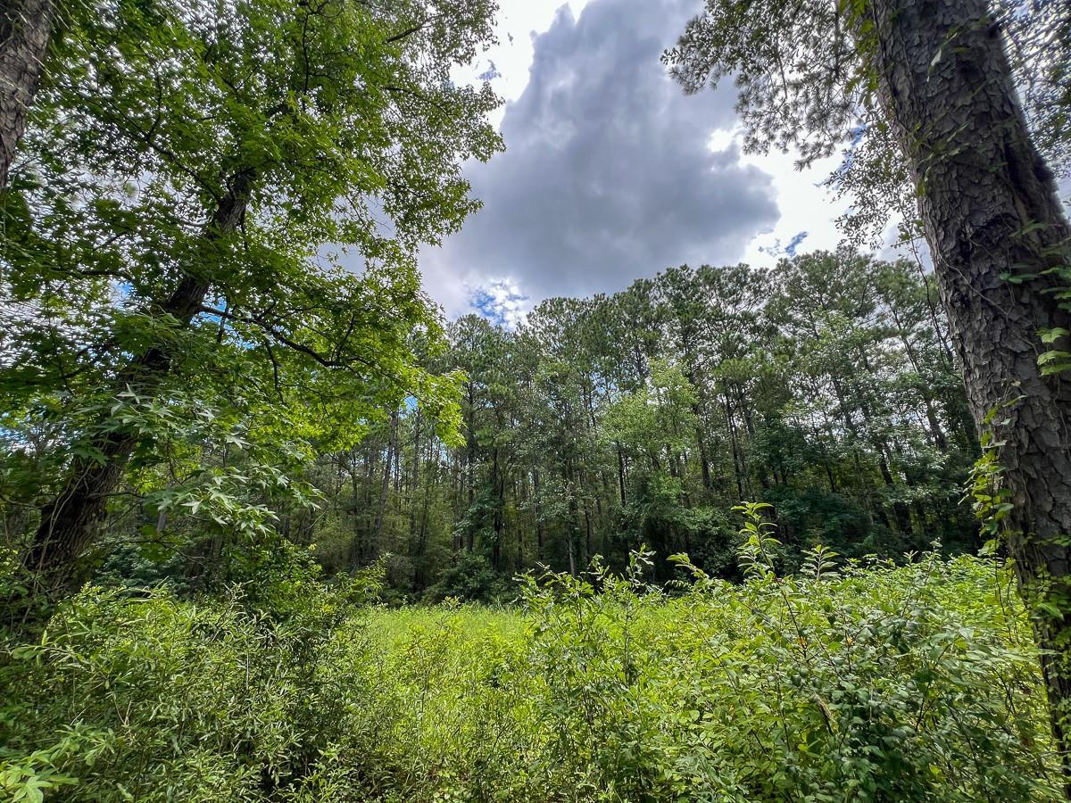 Property Photo:  0 Ellis Lane  TX 77662 