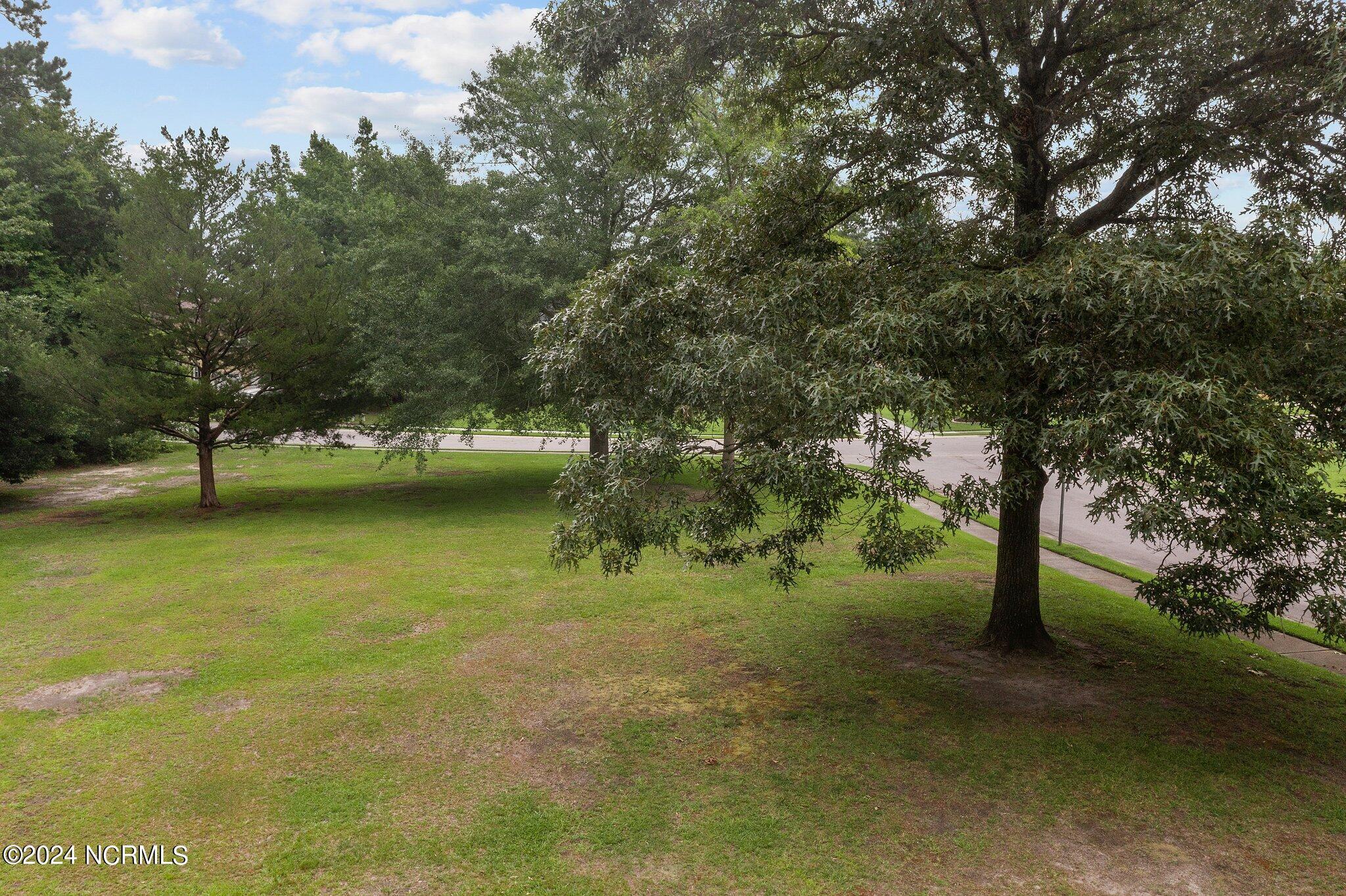 Property Photo: 112 Drayton Hall NC 28540