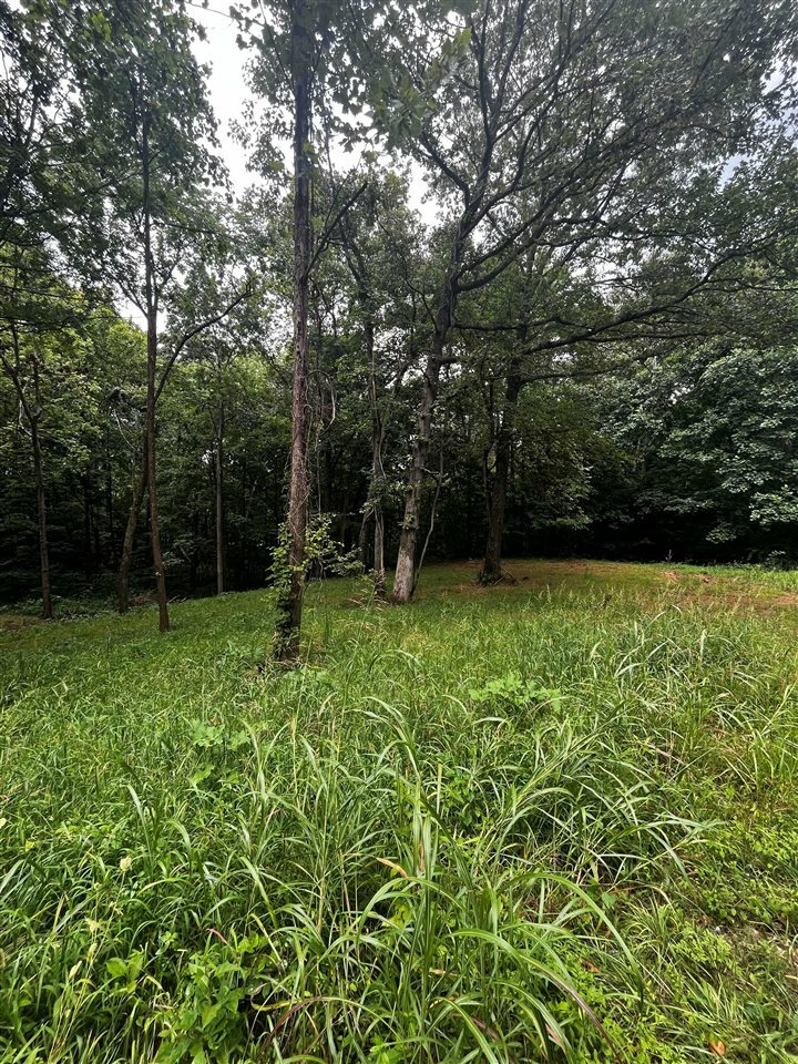 Property Photo:  Lot 2 A Hightower Road  KY 42220 