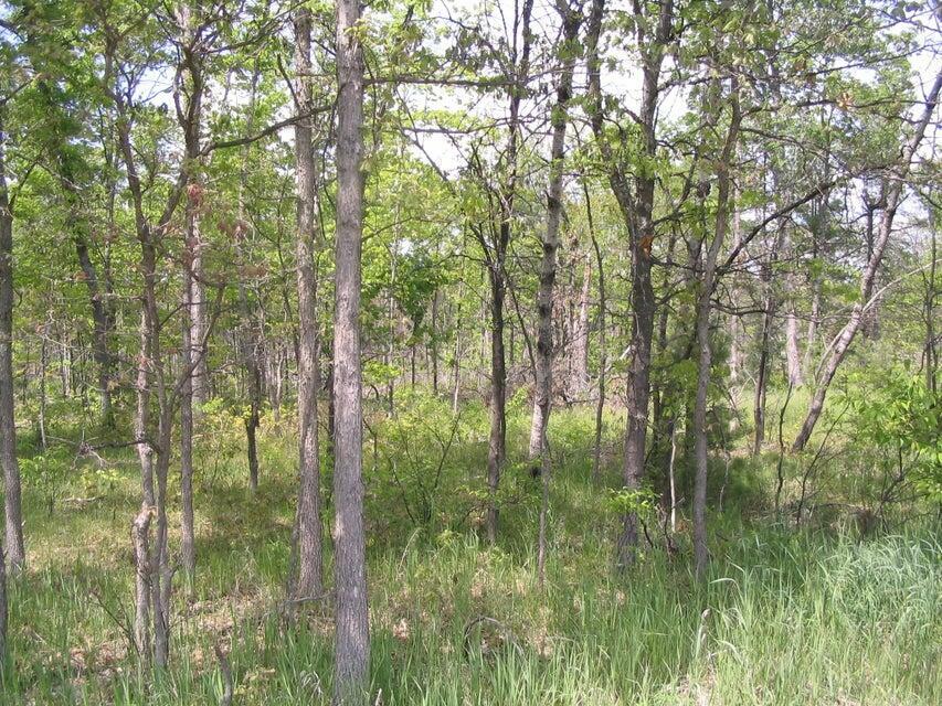 Property Photo:  W Federal Highway 20 Acres  MI 48653 