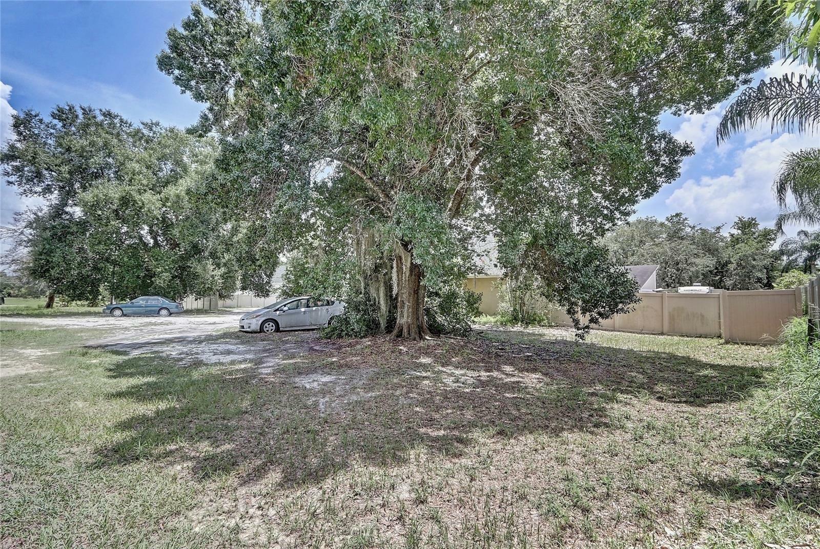 Property Photo:  11624 Delmar Avenue  FL 32836 