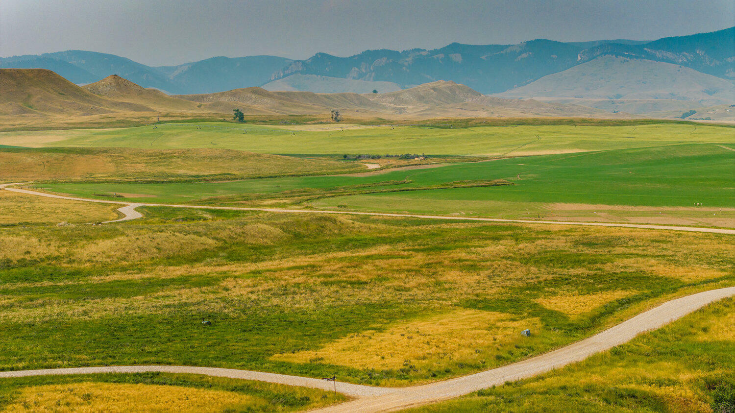 55 Hopkins Divide Loop  Buffalo WY 82834 photo