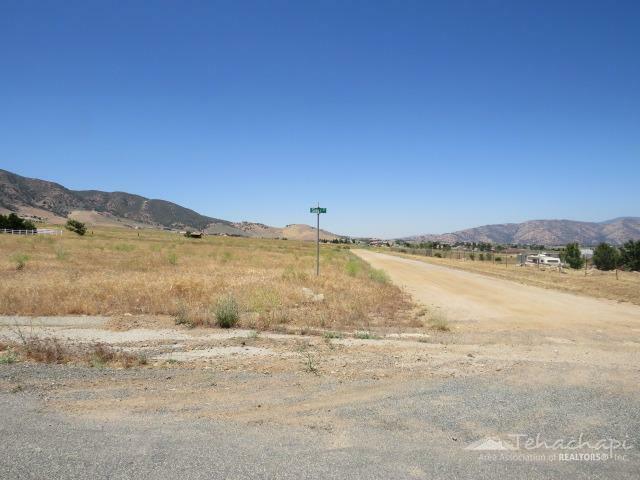 Property Photo:  0 Sioux Street  CA 93561 