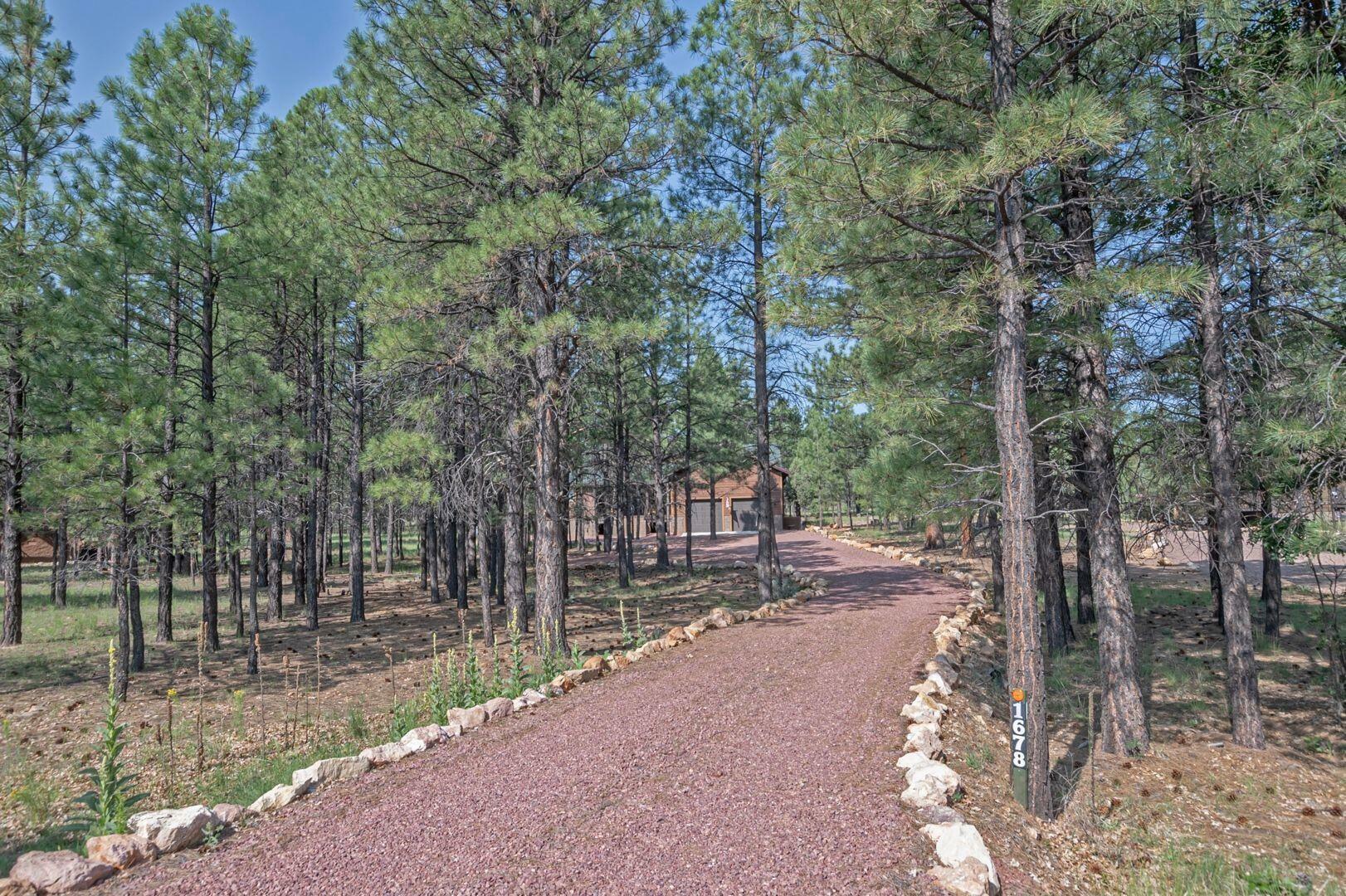 Property Photo:  1678 Sugar Pine Drive  AZ 86024 