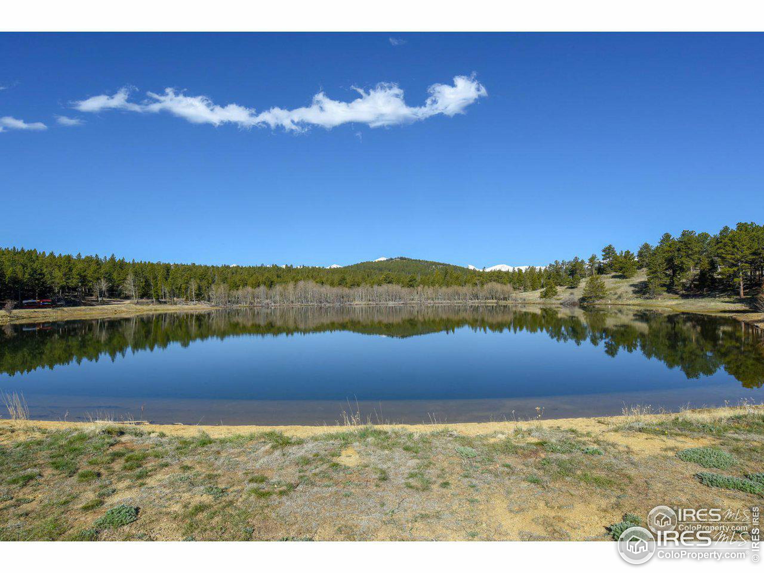 Property Photo:  575 Ranch Rd  CO 80481 