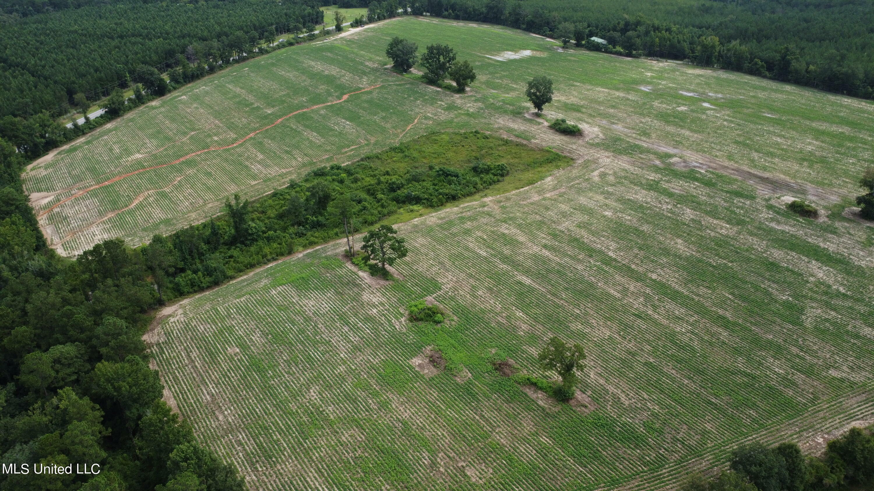 56 +- Ac Highway 63 N  Lucedale MS 39452 photo