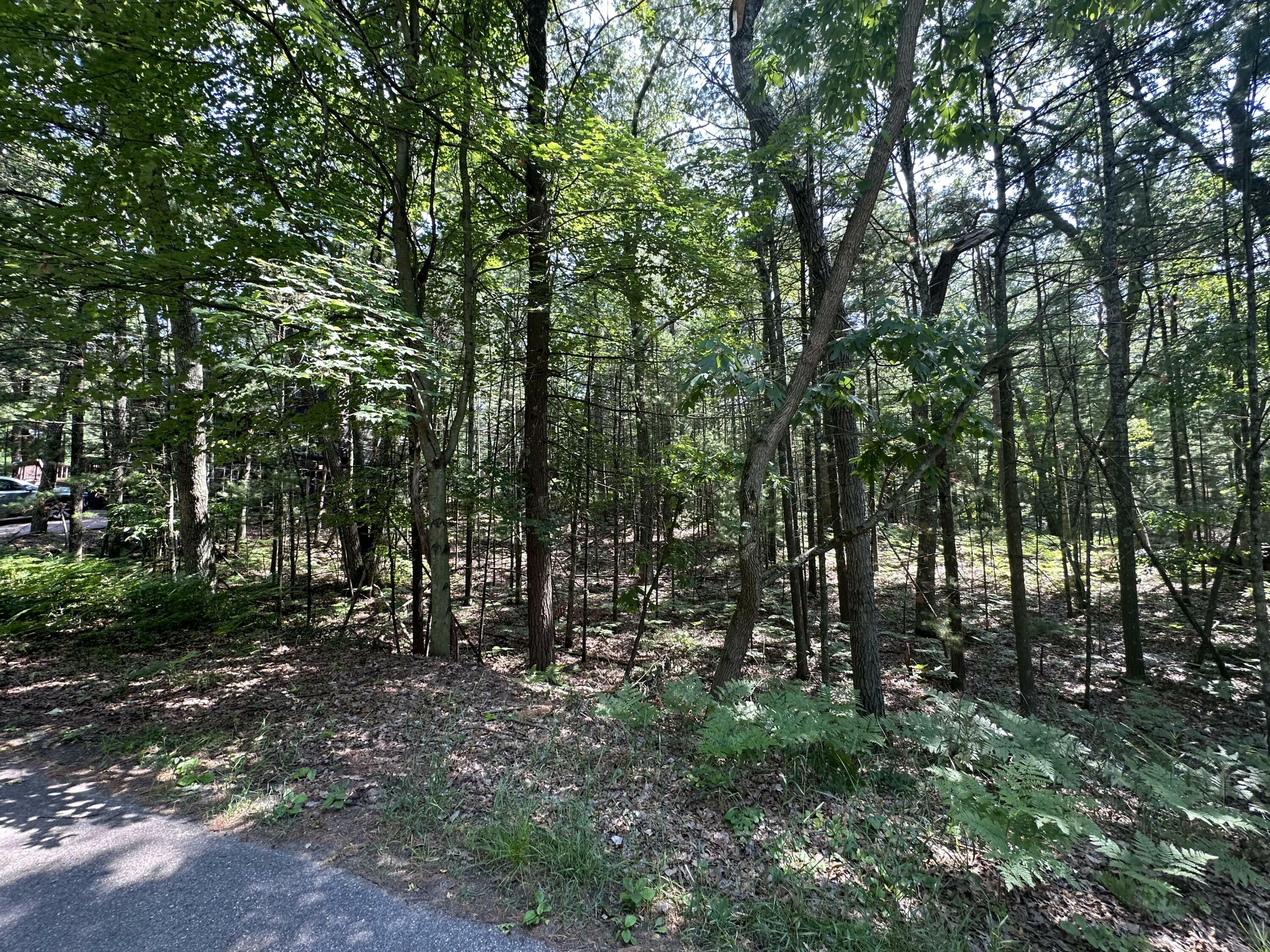 Property Photo:  Crow Lane  MI 49449 