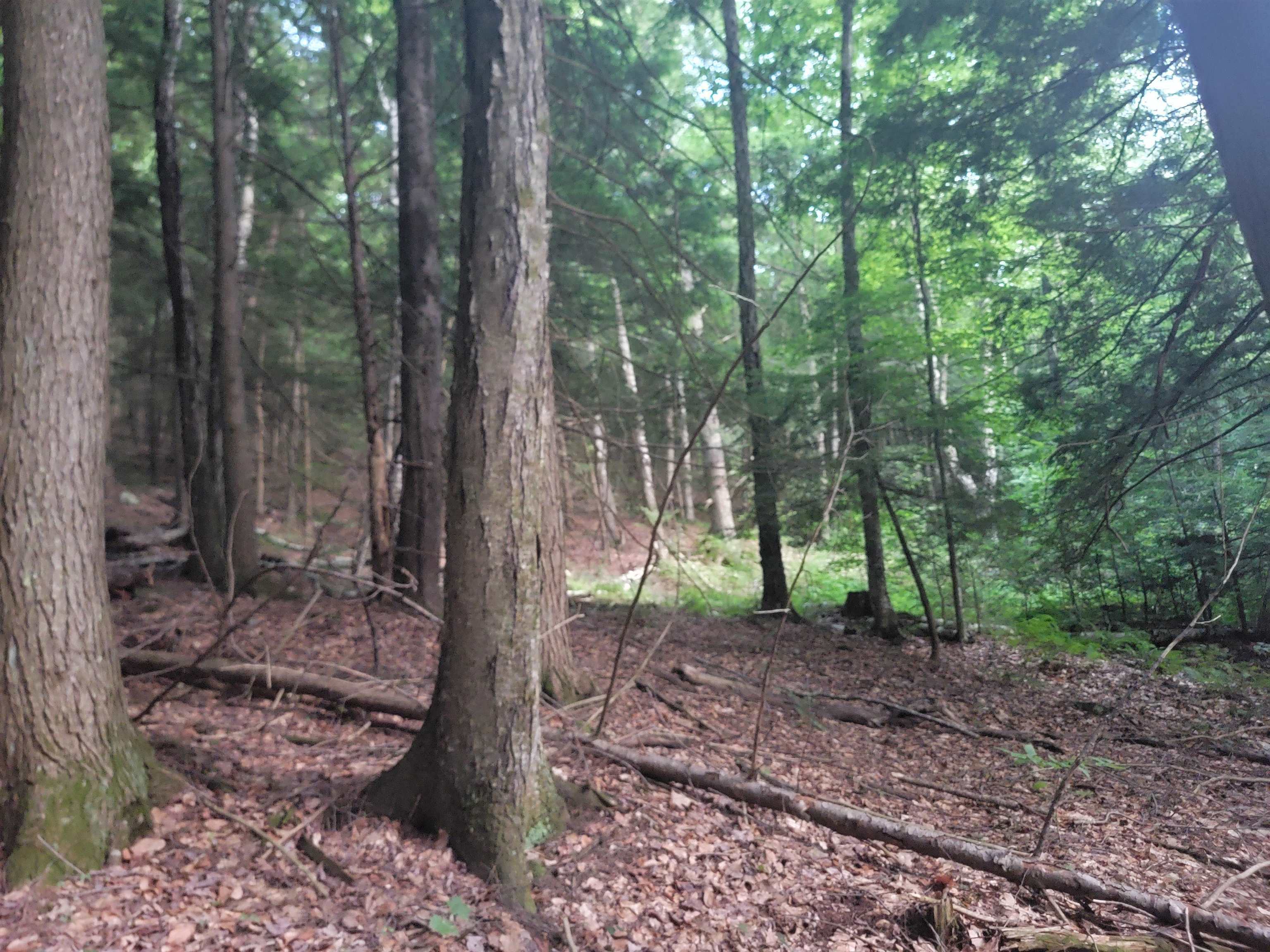 Property Photo:  Off Bemis Hill Road  VT 05158 