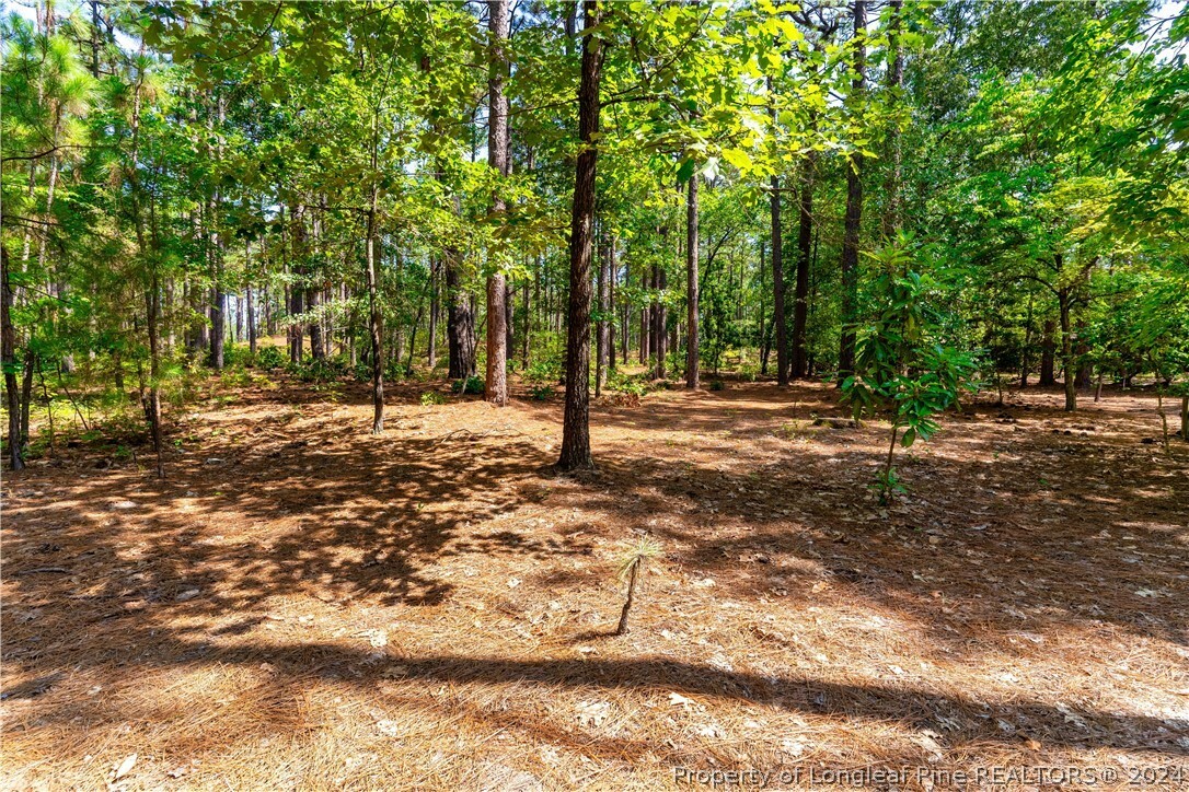 Property Photo:  745 Lake Forest Drive SE  NC 28374 