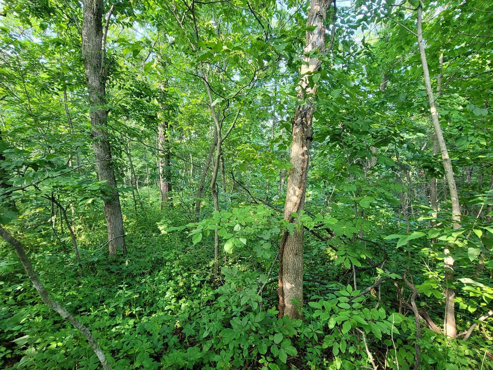 Property Photo:  43 Lookout Trace  IL 61036 