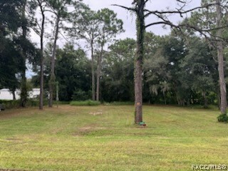 Property Photo:  2615 E Dawson Drive  FL 34453 