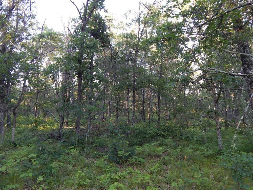 Property Photo:  Xxx Namekagon Trail  WI 54830 