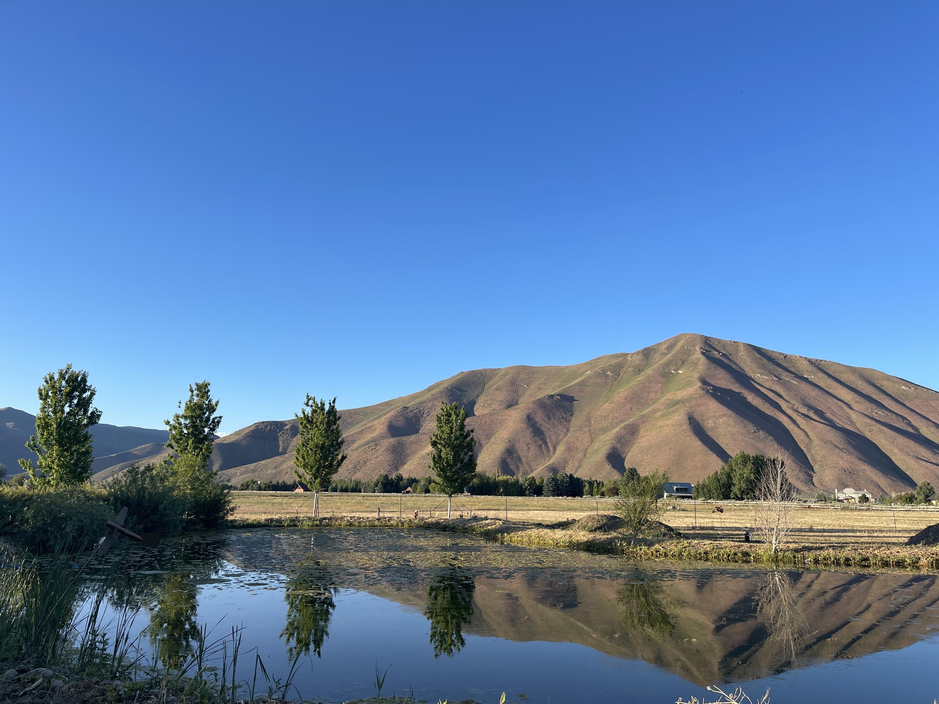 Property Photo: 60 Silver Lakes Dr ID 83313