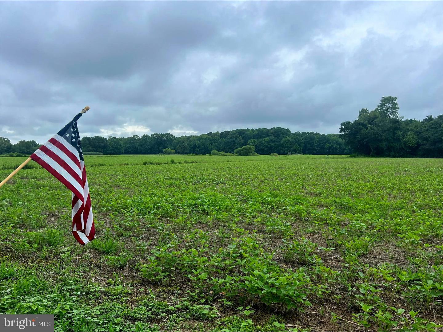 Property Photo:  Bivalve Lodge Road  MD 21814 