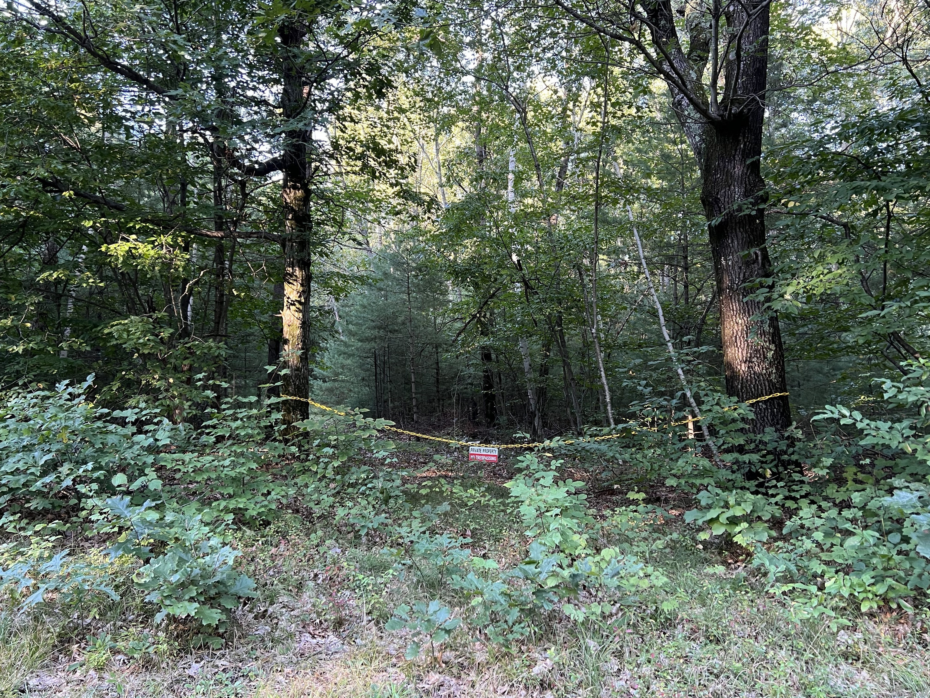 Property Photo:  14 Eldredge Mills Road  CT 06279 