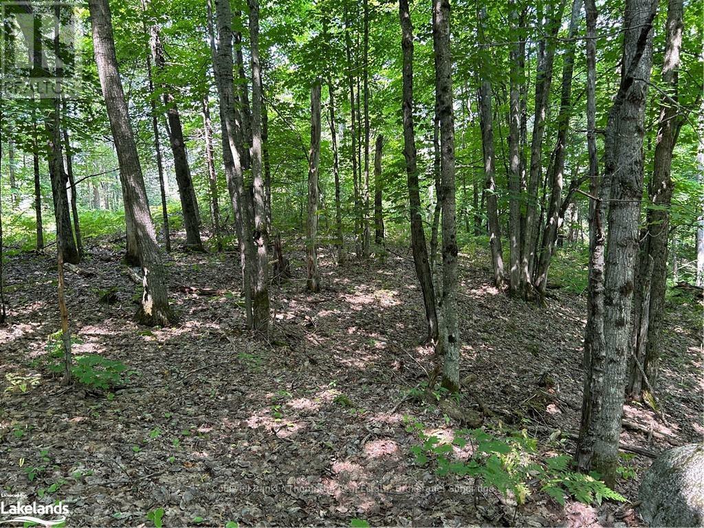 Photo de la propriété:  Lot 22 Frank Street  ON P0A 1P0 