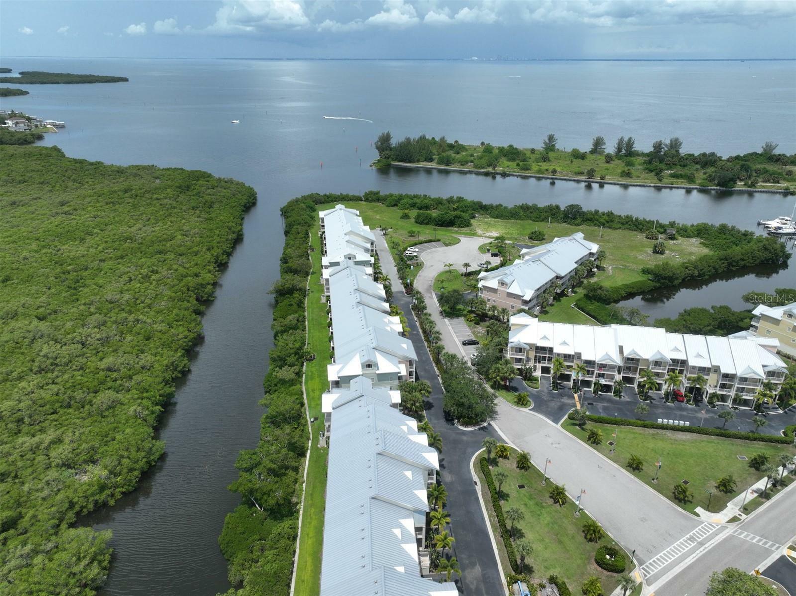 Property Photo:  3226 Mangrove Point Drive  FL 33570 