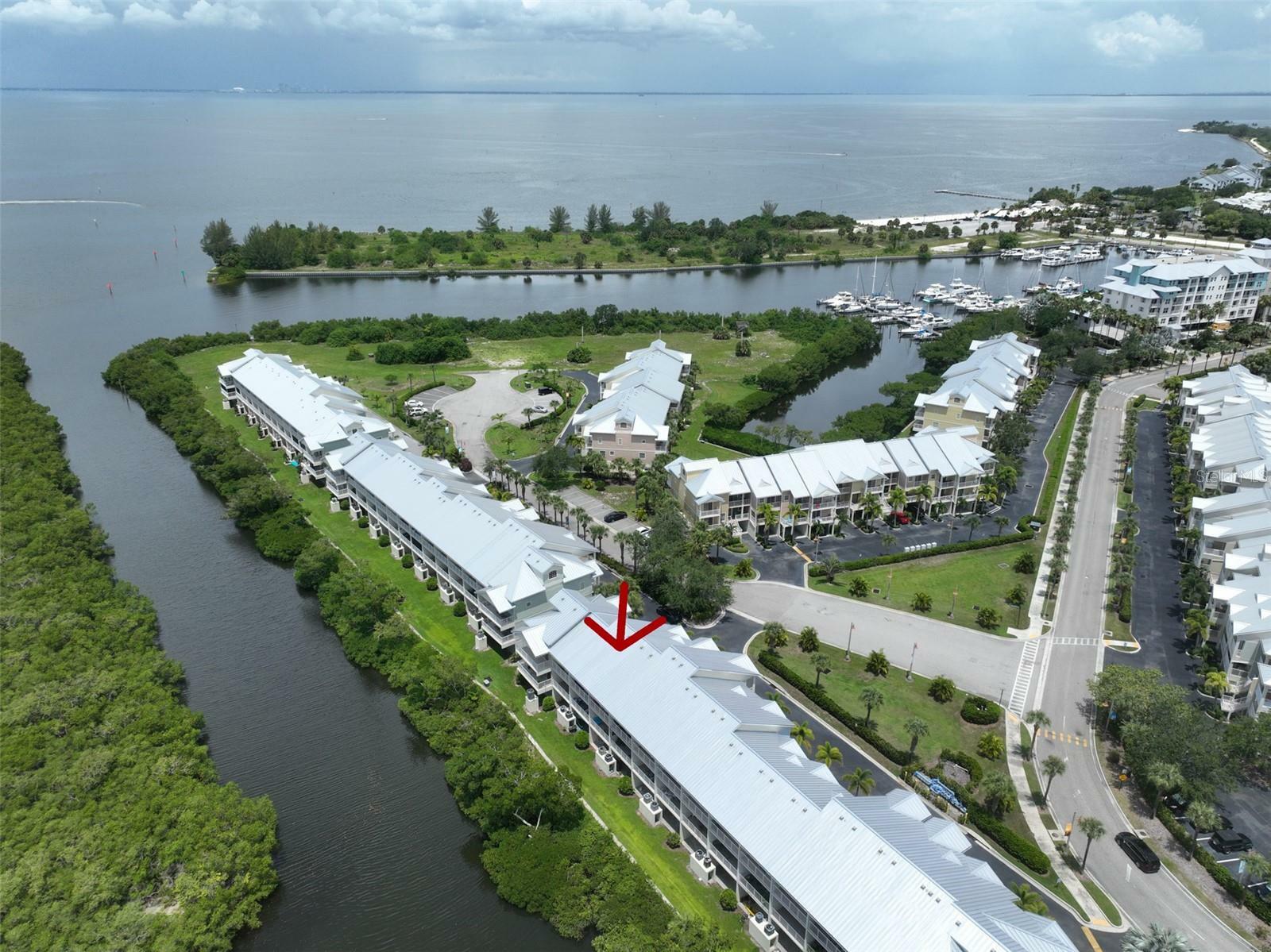 Property Photo:  3226 Mangrove Point Drive  FL 33570 