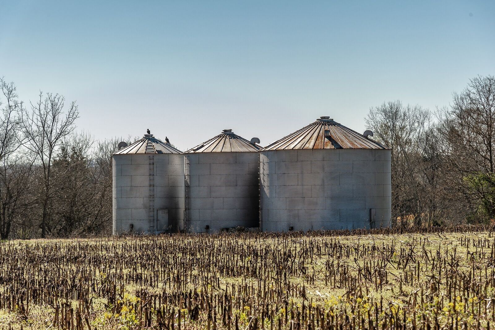 Property Photo:  0 52 Highway E Lots  TN 37148 