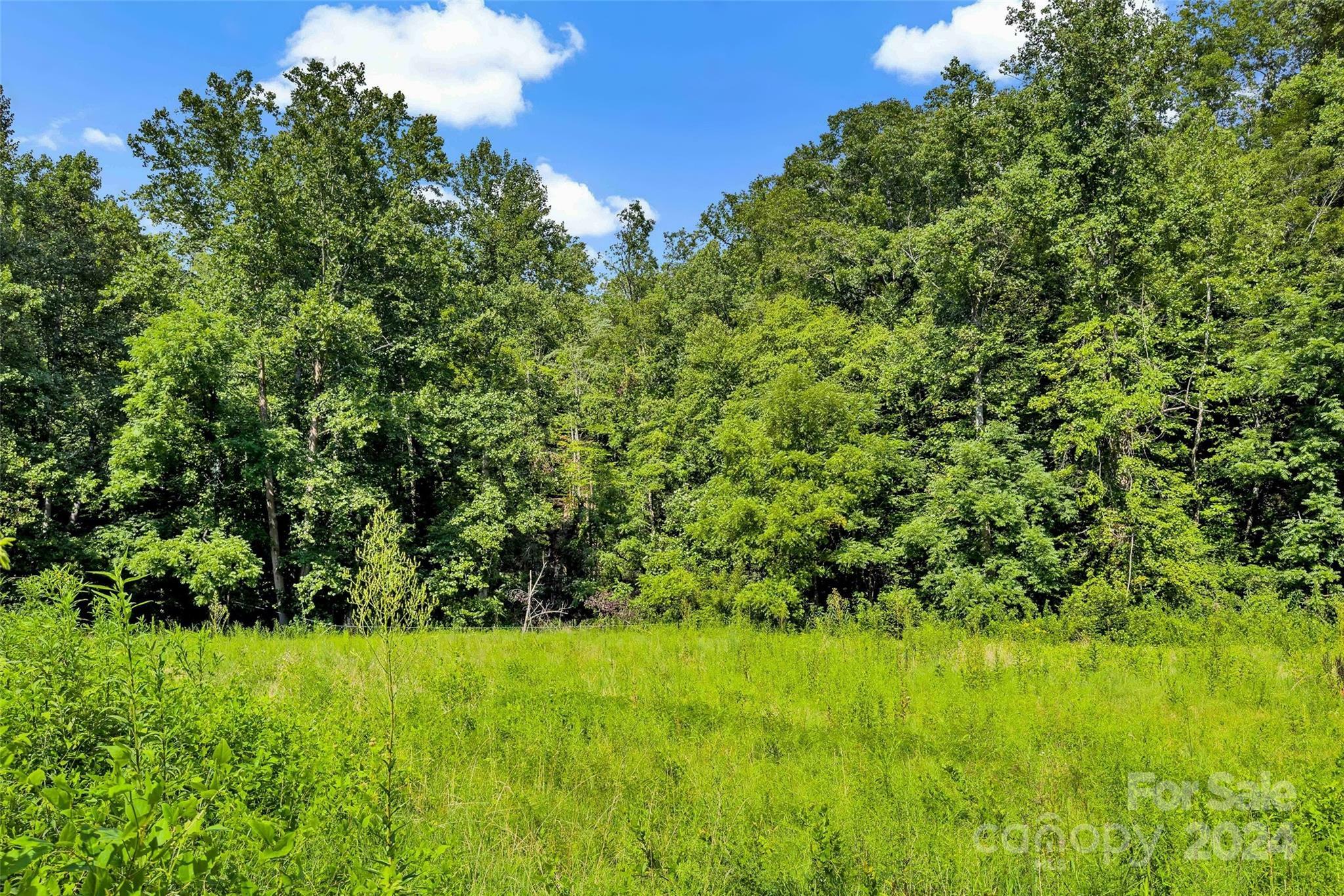 Property Photo:  203 Moffitt Branch Road Na  NC 28762 