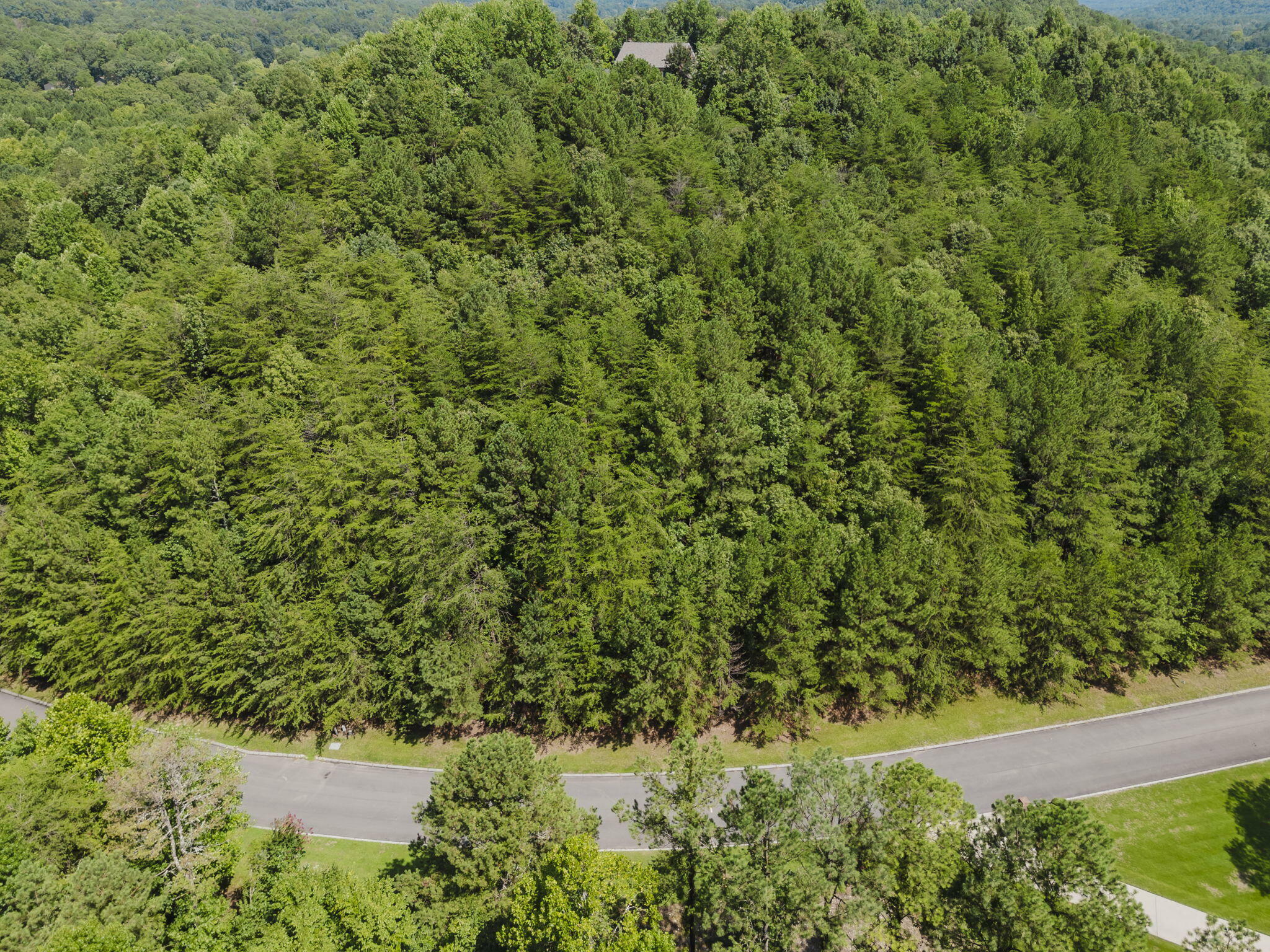 Property Photo:  Lot 7 Eden Park Drive  GA 30740 