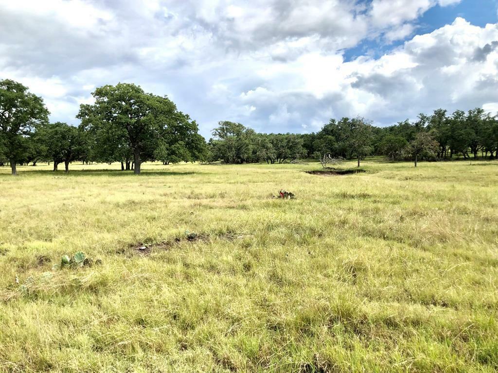 Property Photo:  477 Burrus Ranch Rd  TX 78058 