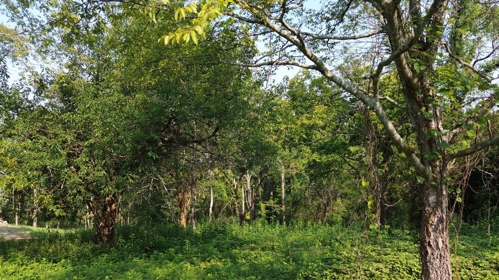 Property Photo:  48 Harbor Court  TN 38582 