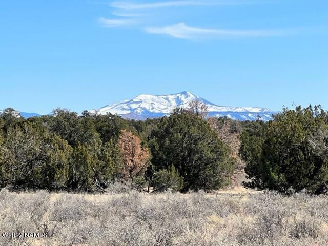 Property Photo:  000 502-31-130A 12 Acres - Mohave Road  AZ 86046 