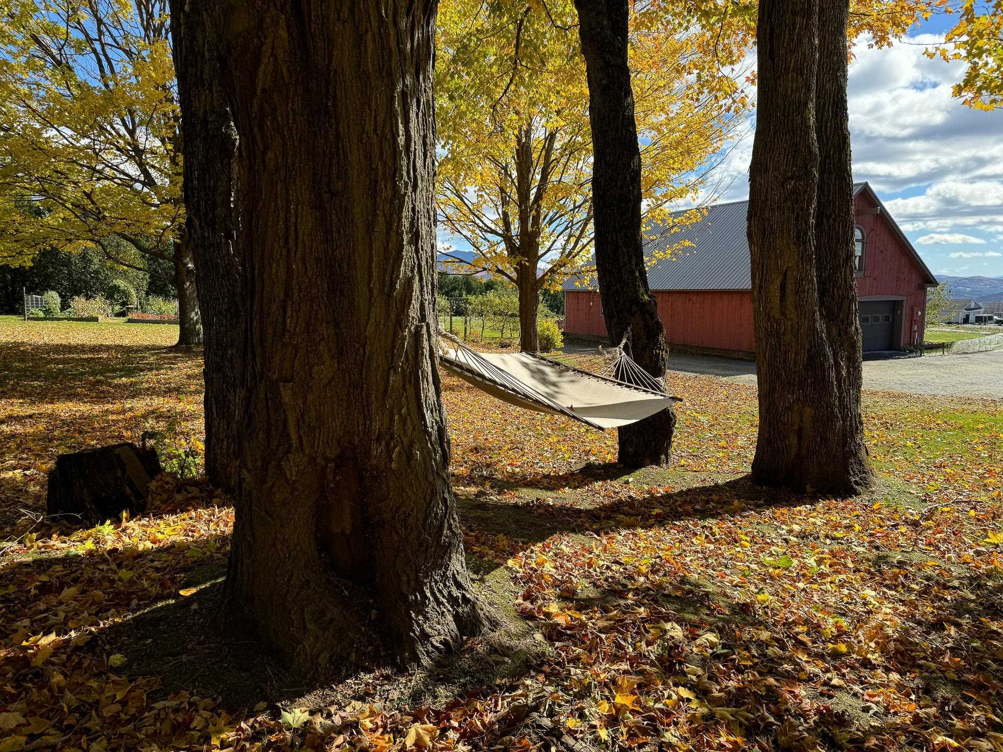 Property Photo:  885 Burke Road  VT 05867 