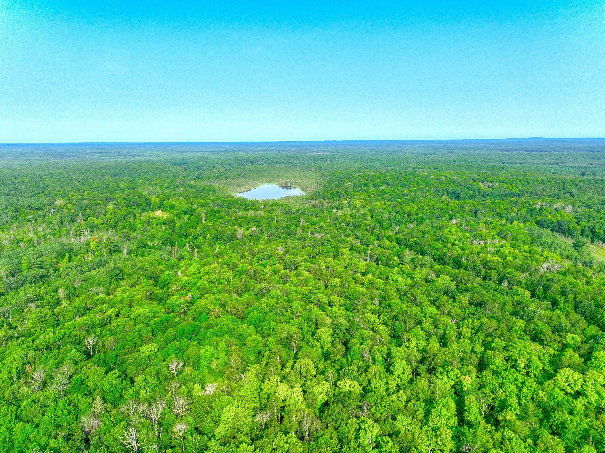 Property Photo:  Xxxx W Moose Lake Rd  WI 54843 