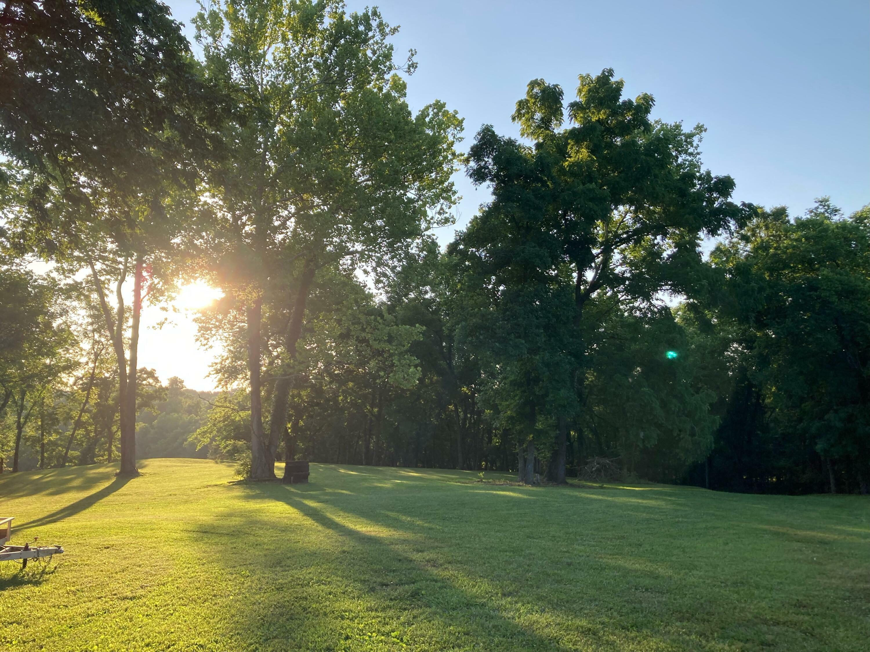 Property Photo: 264 Canopy Lane MO 65747