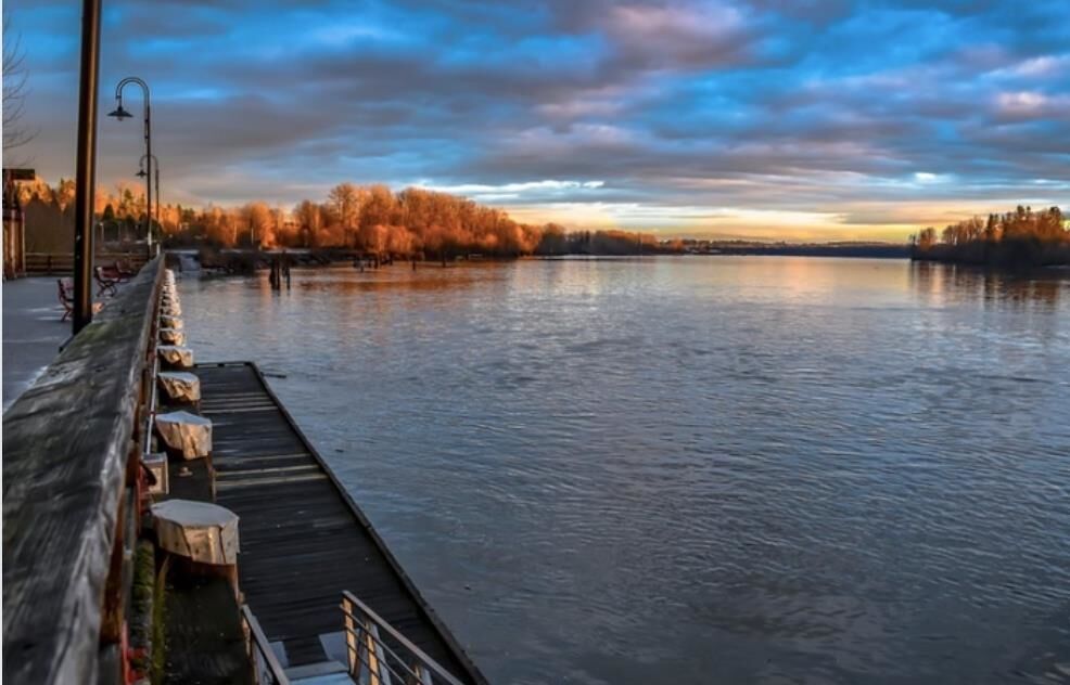 Property Photo: 11731 Brookmere Court BC V2X 9G3
