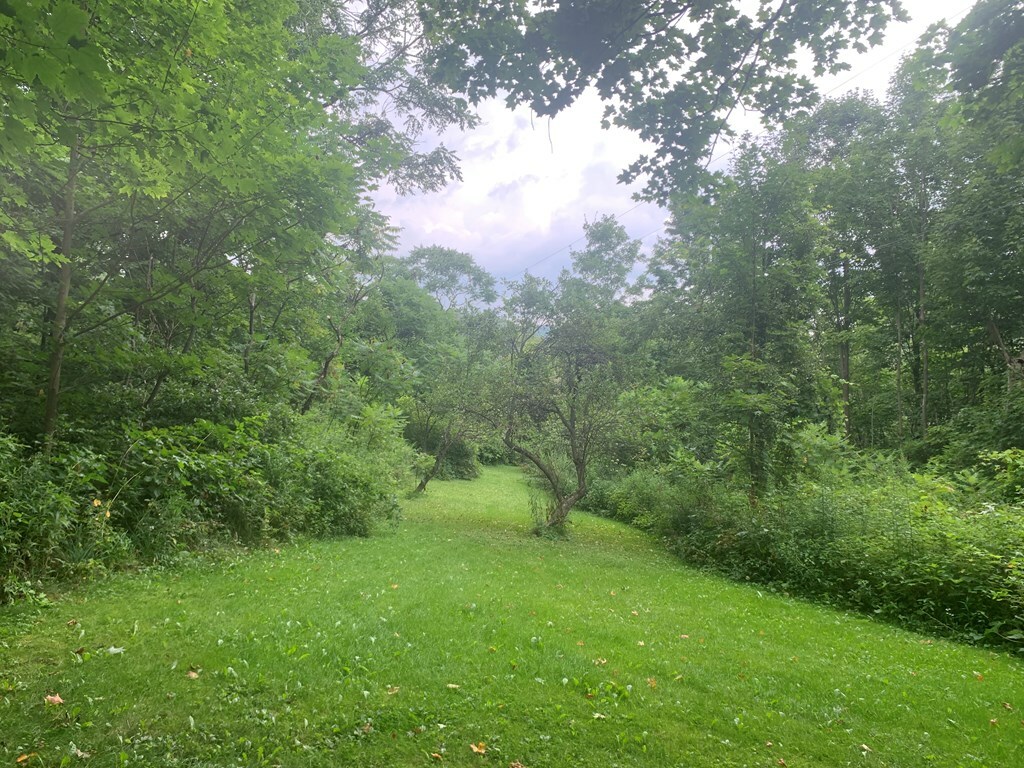 Property Photo:  3335 Lisk Rd.  NY 14869 