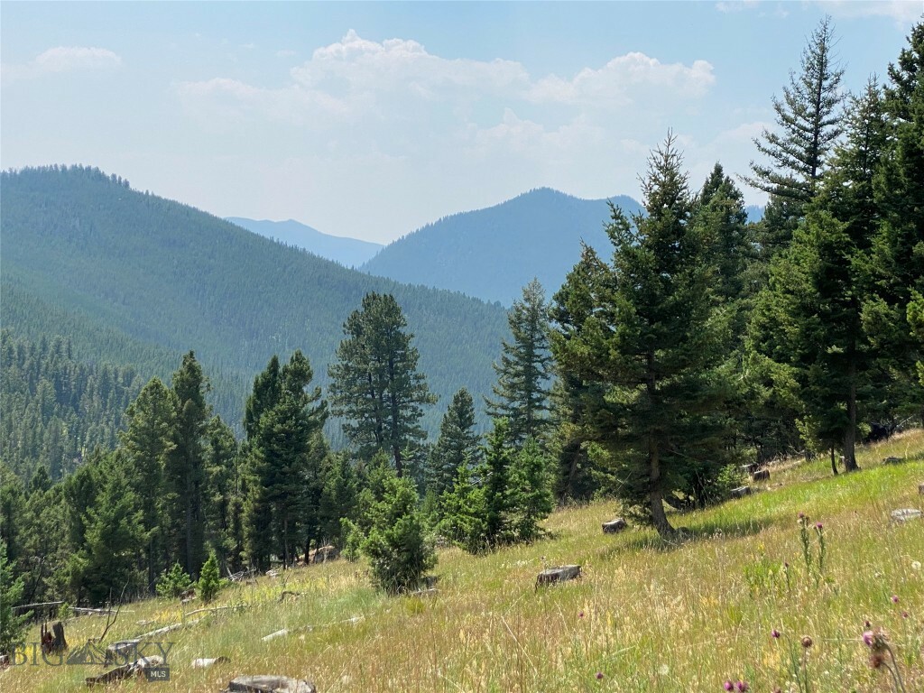 Property Photo:  Tbd Lowland Road  MT 59701 