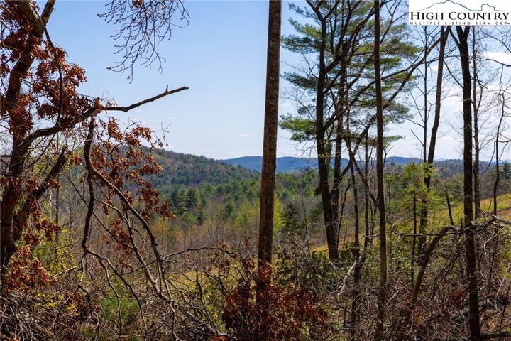 Property Photo: 27 Wilderness Reserve Parkway NC 28618