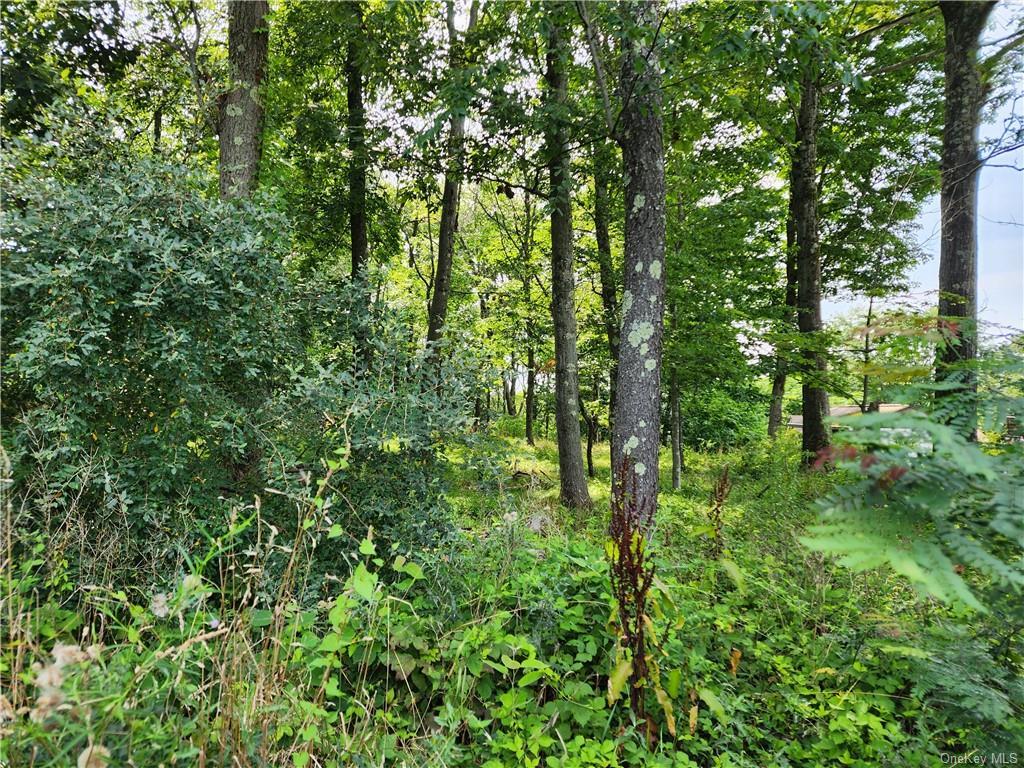Property Photo: Kentview Drive NY 10512