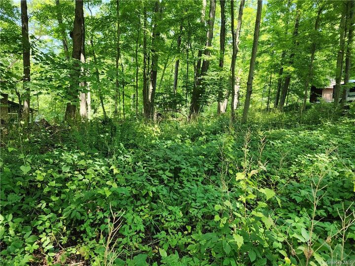 Property Photo: Rambler Road NY 10512