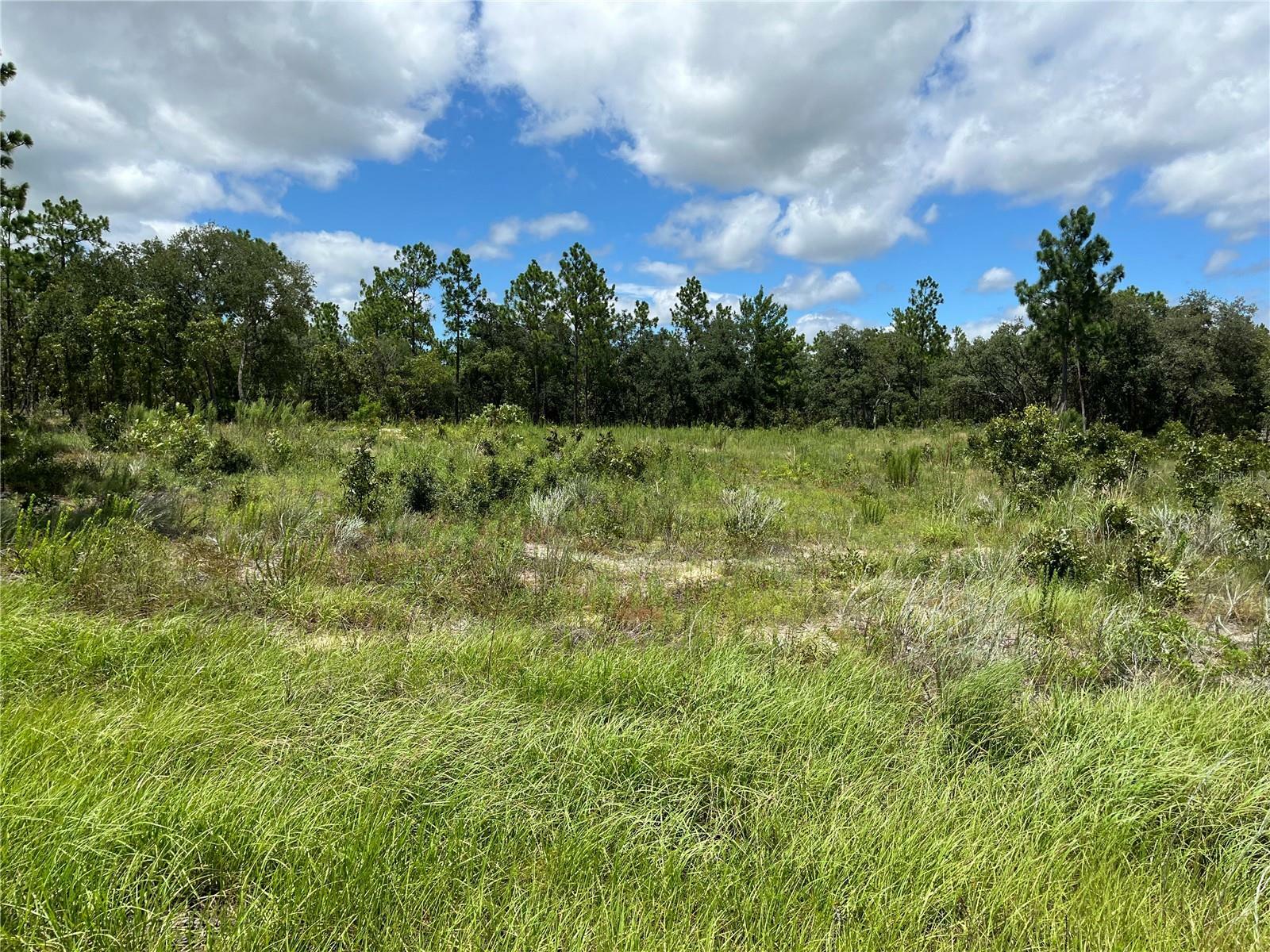 Property Photo:  Tbd SW 88th Street  FL 34432 