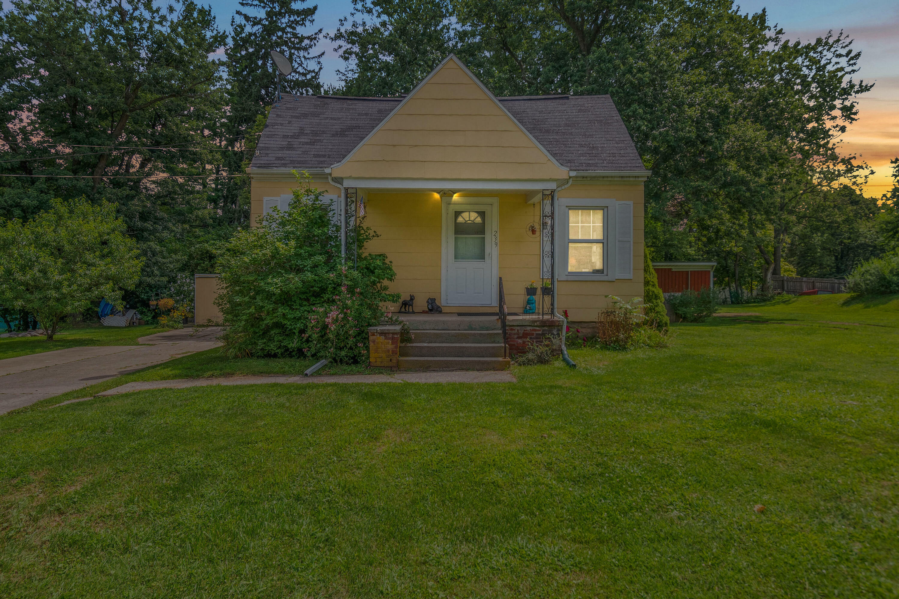 Property Photo:  239 Evelyn Street  MI 49203 