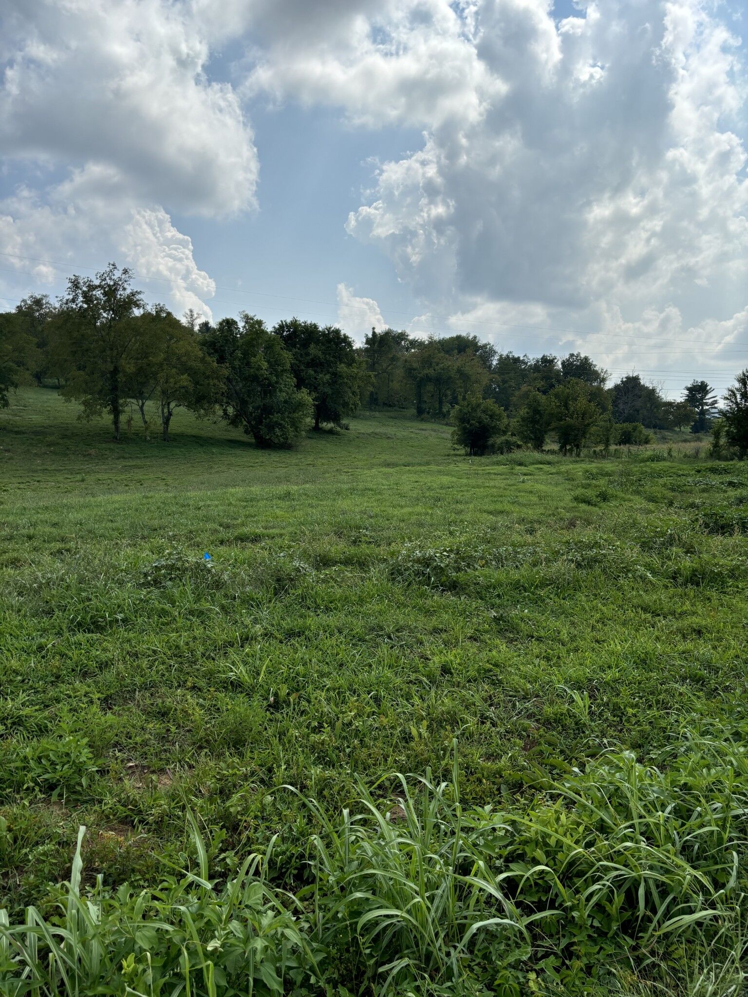 Property Photo:  0 McLaughlin Lane  TN 37160 