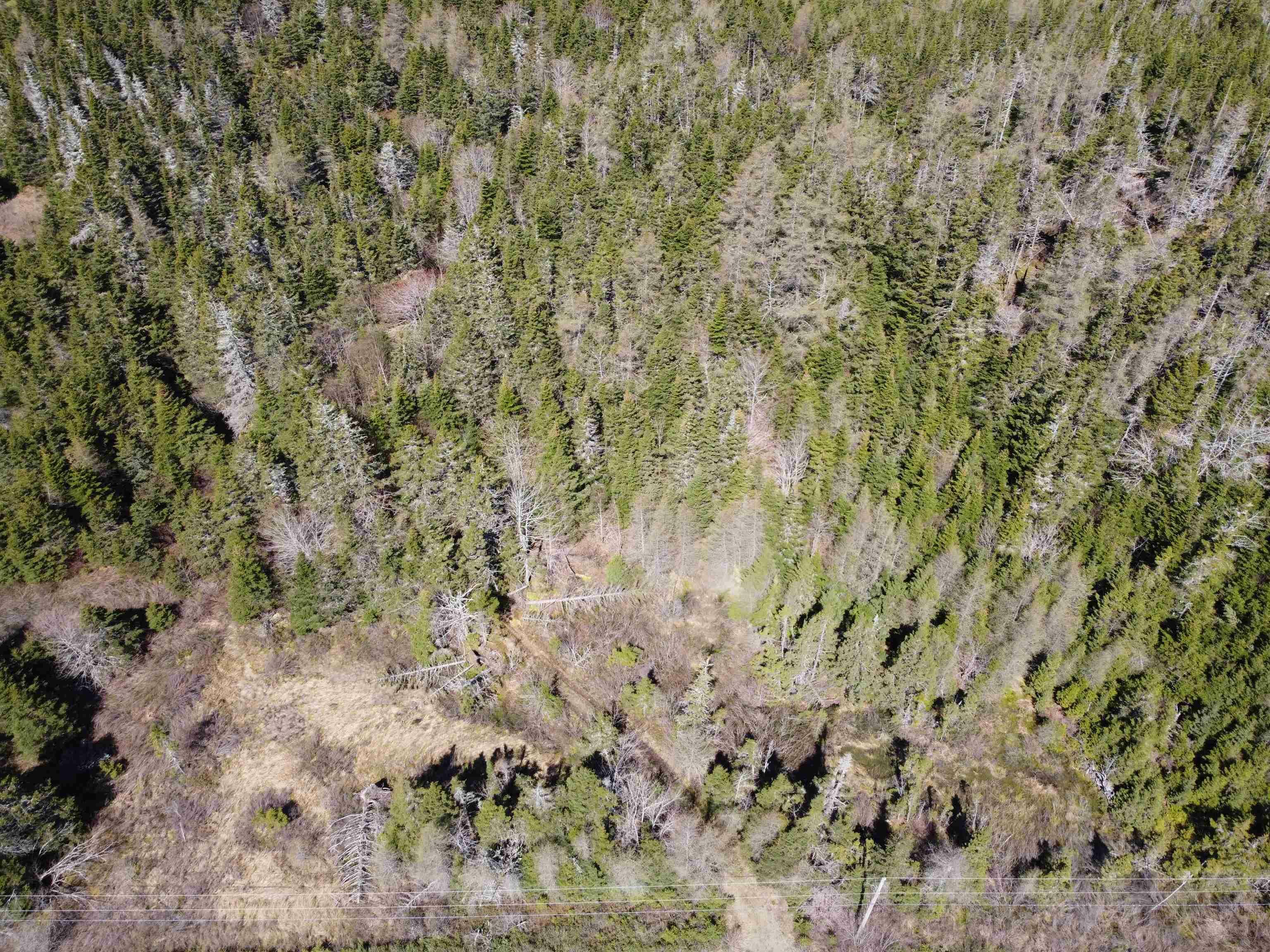 Property Photo:  Lot 3 Moser River Road N  NS B0J 2K0 