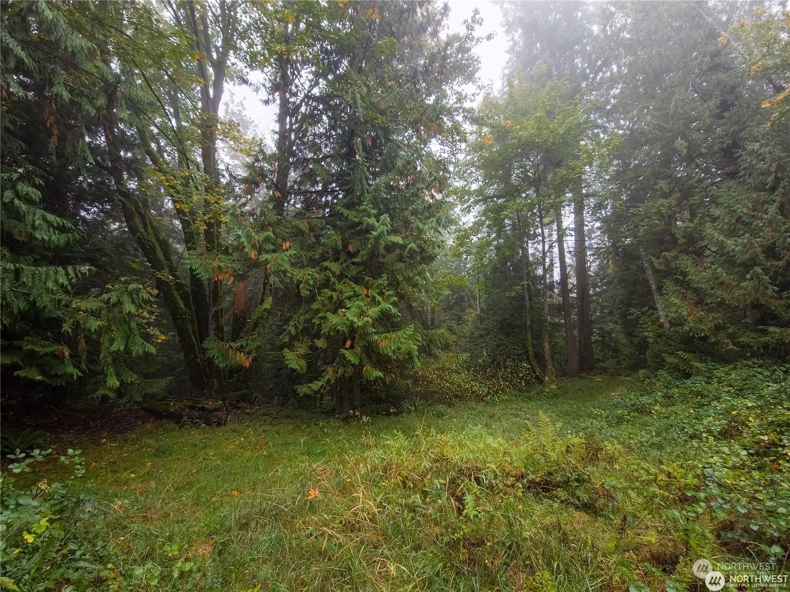 Property Photo:  24216 SE 106th Place  WA 98027 