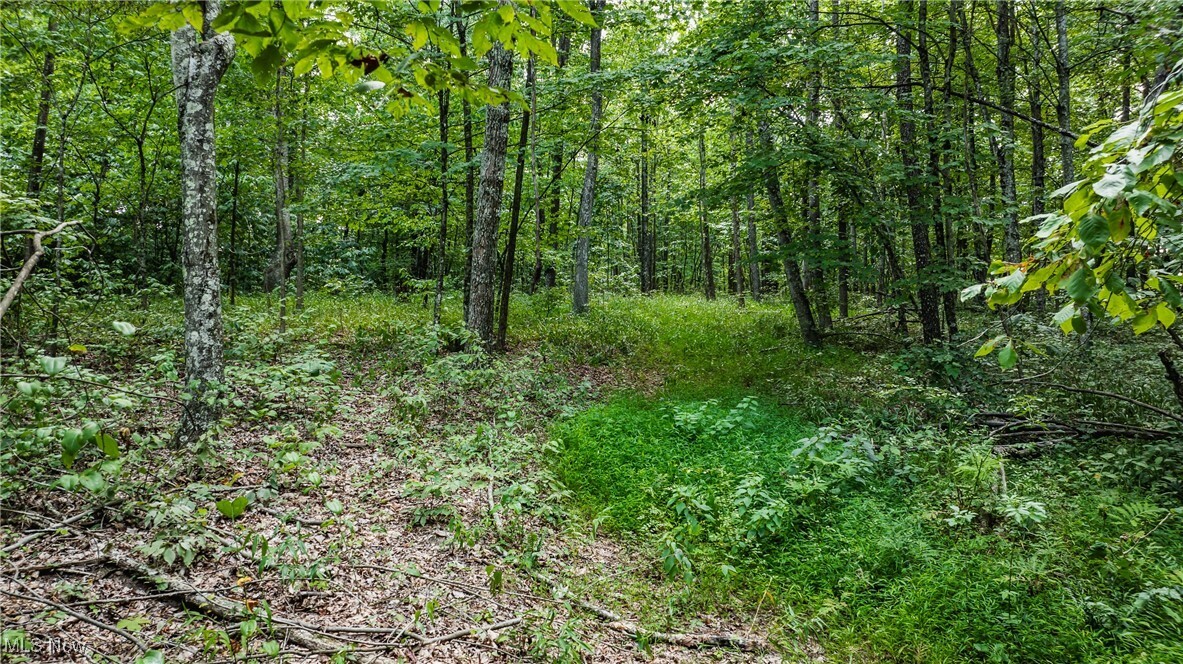 Property Photo:  1187 Umstead Ridge Road  WV 26141 