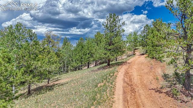 Property Photo: 24 Wild Horse Circle CO 80813