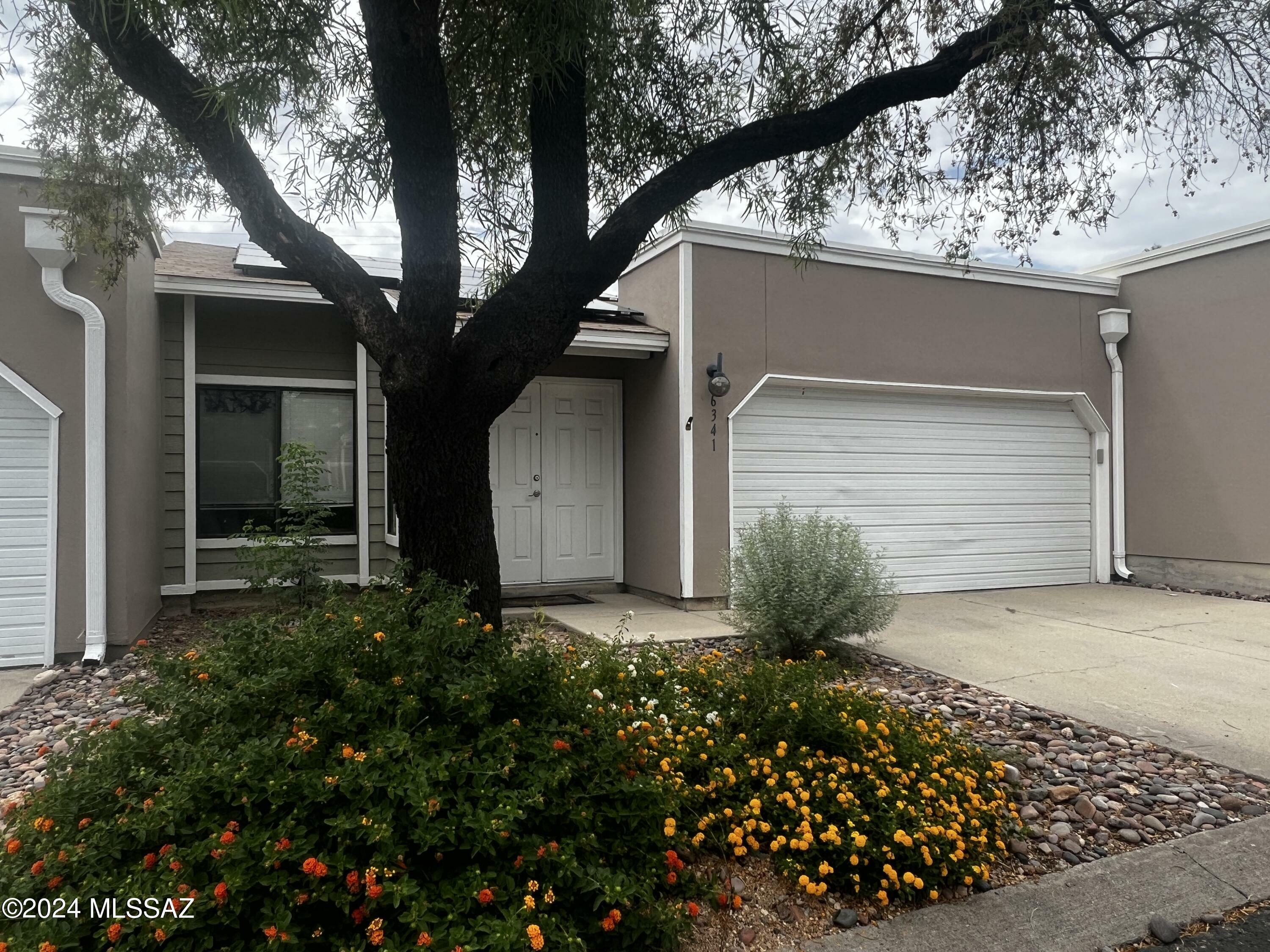 Property Photo:  6341 N Willowbrook Drive  AZ 85704 