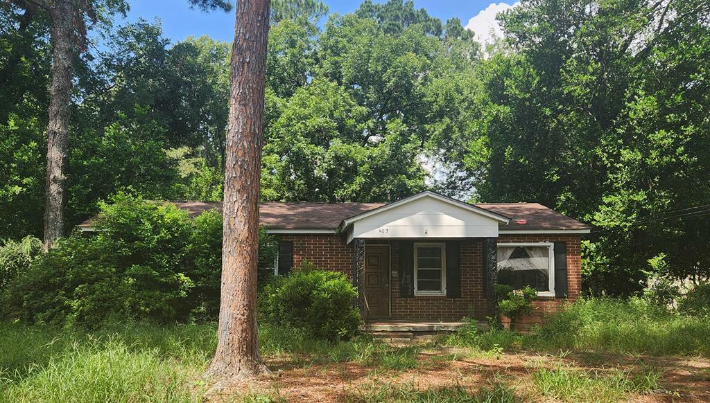 Property Photo:  403 Bush Street  GA 31705 